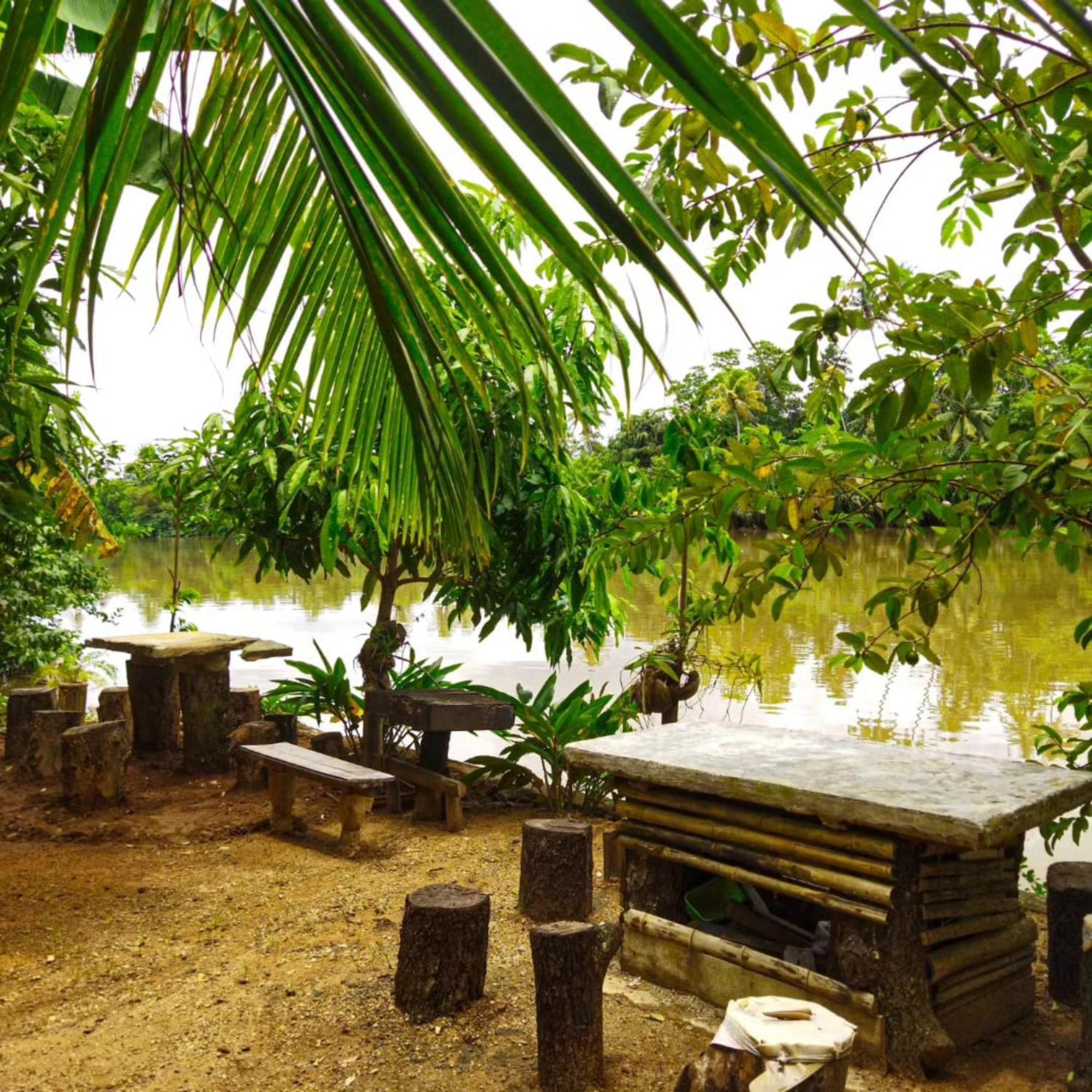 Kosi Giggles Resort Weligama Buitenkant foto